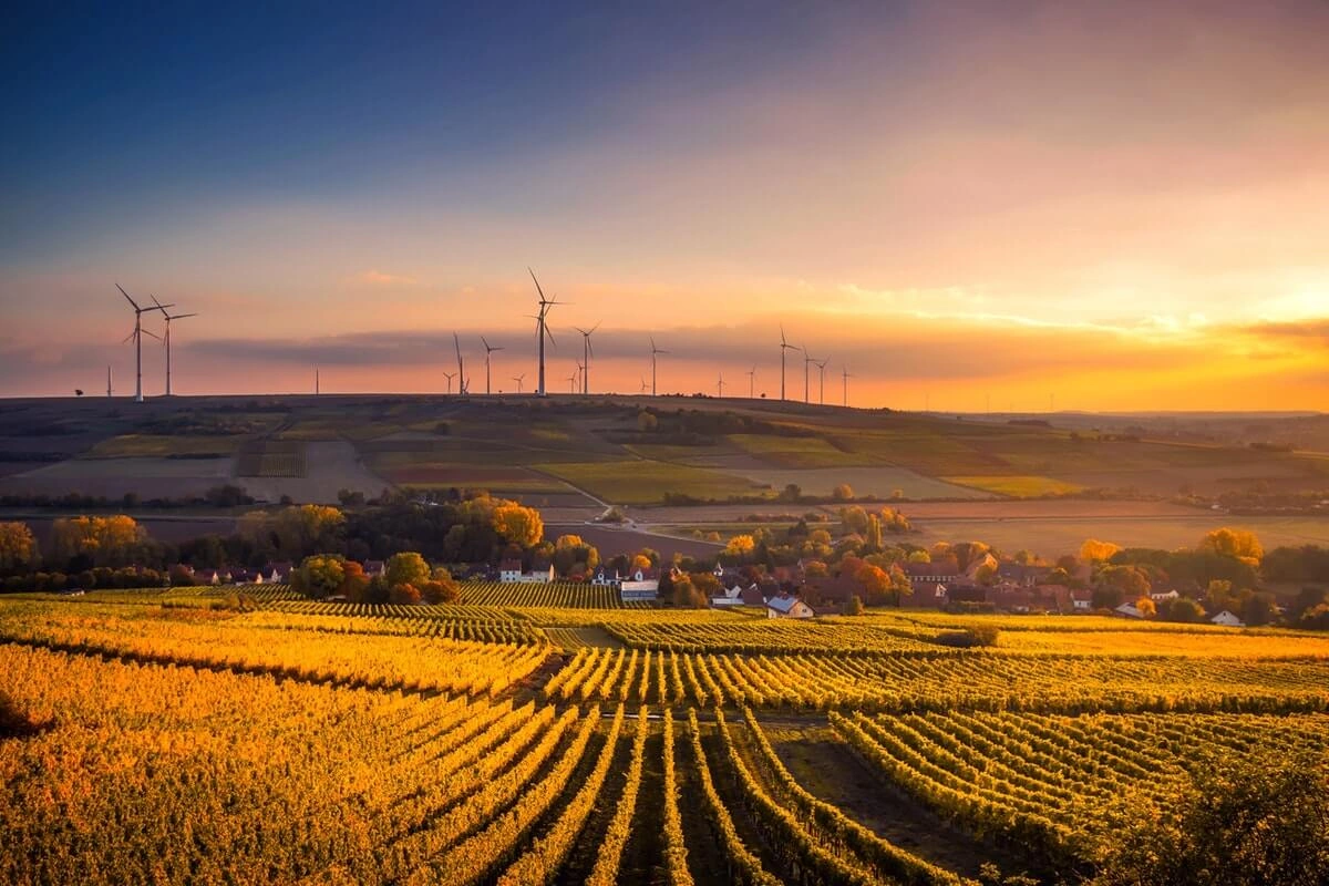 Industry Image